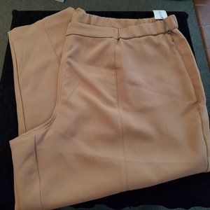 NWT Liz Claiborne pull-on pants (3X)